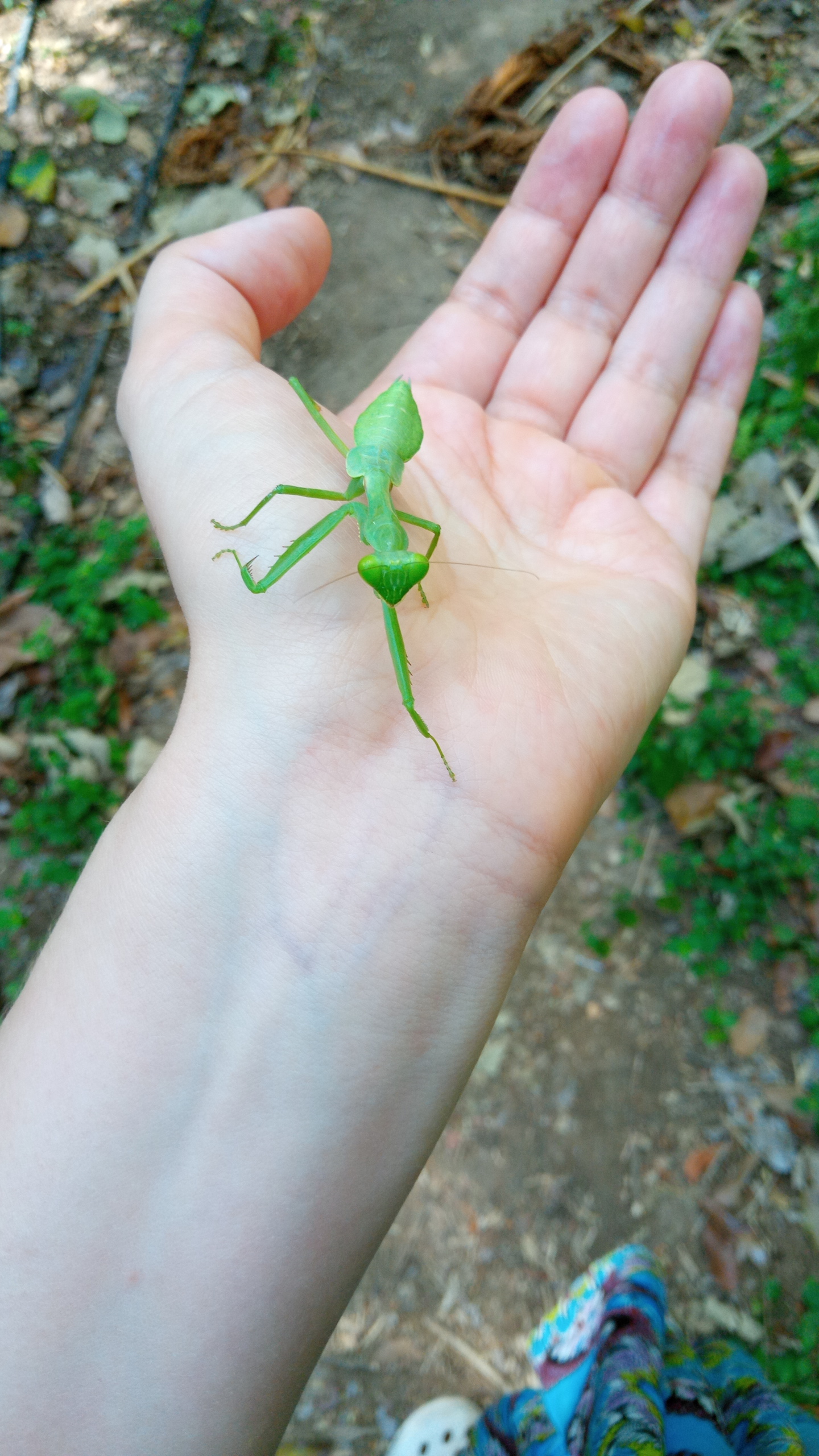 Photo at discovery time