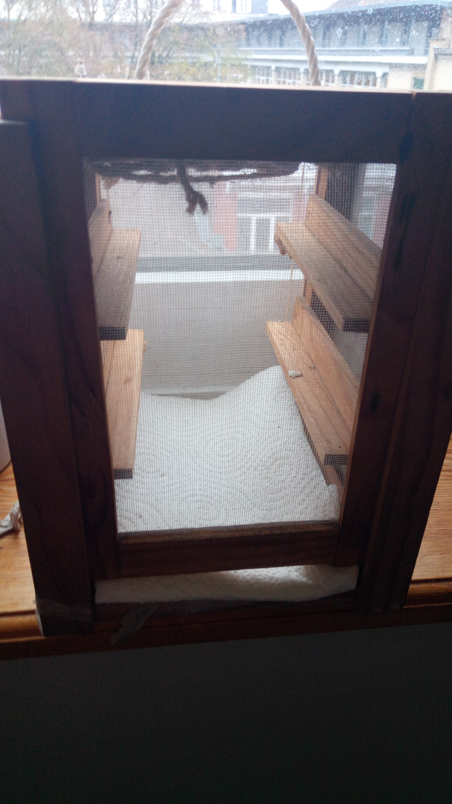 Photo of her enclosure