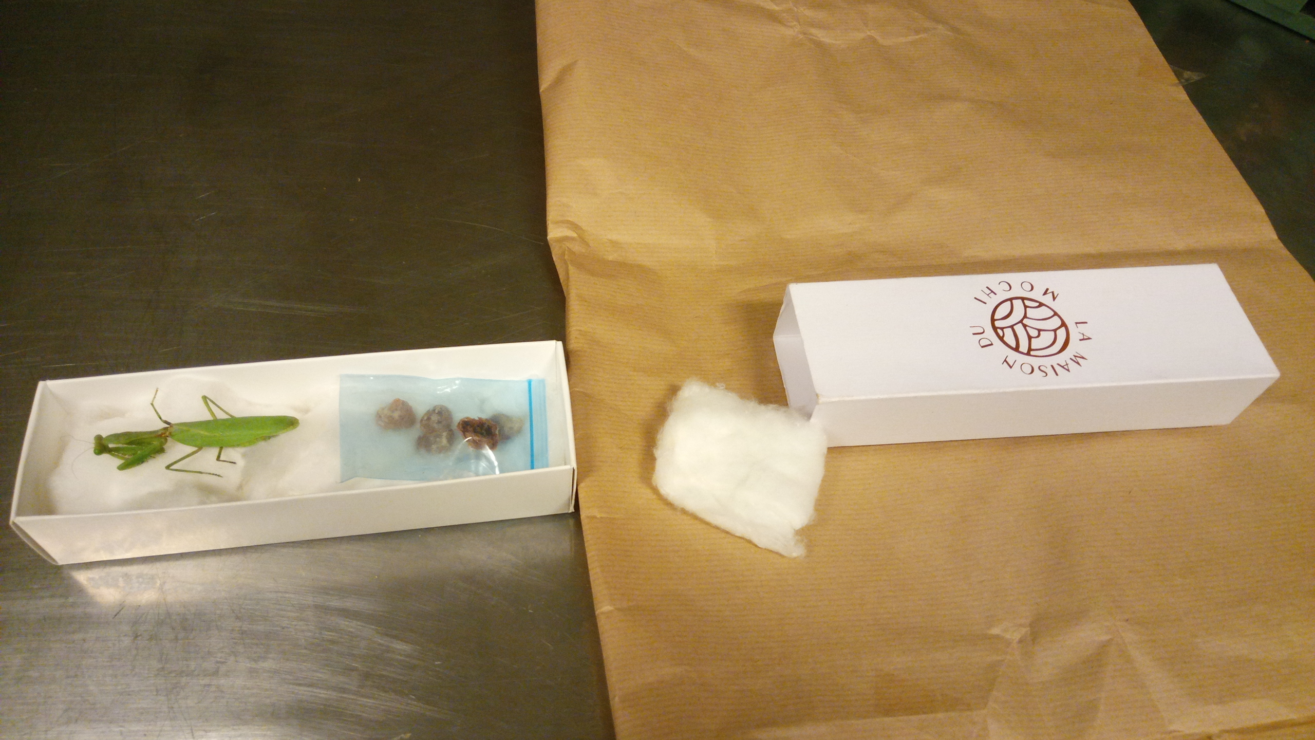 Package for last voyage to Germany